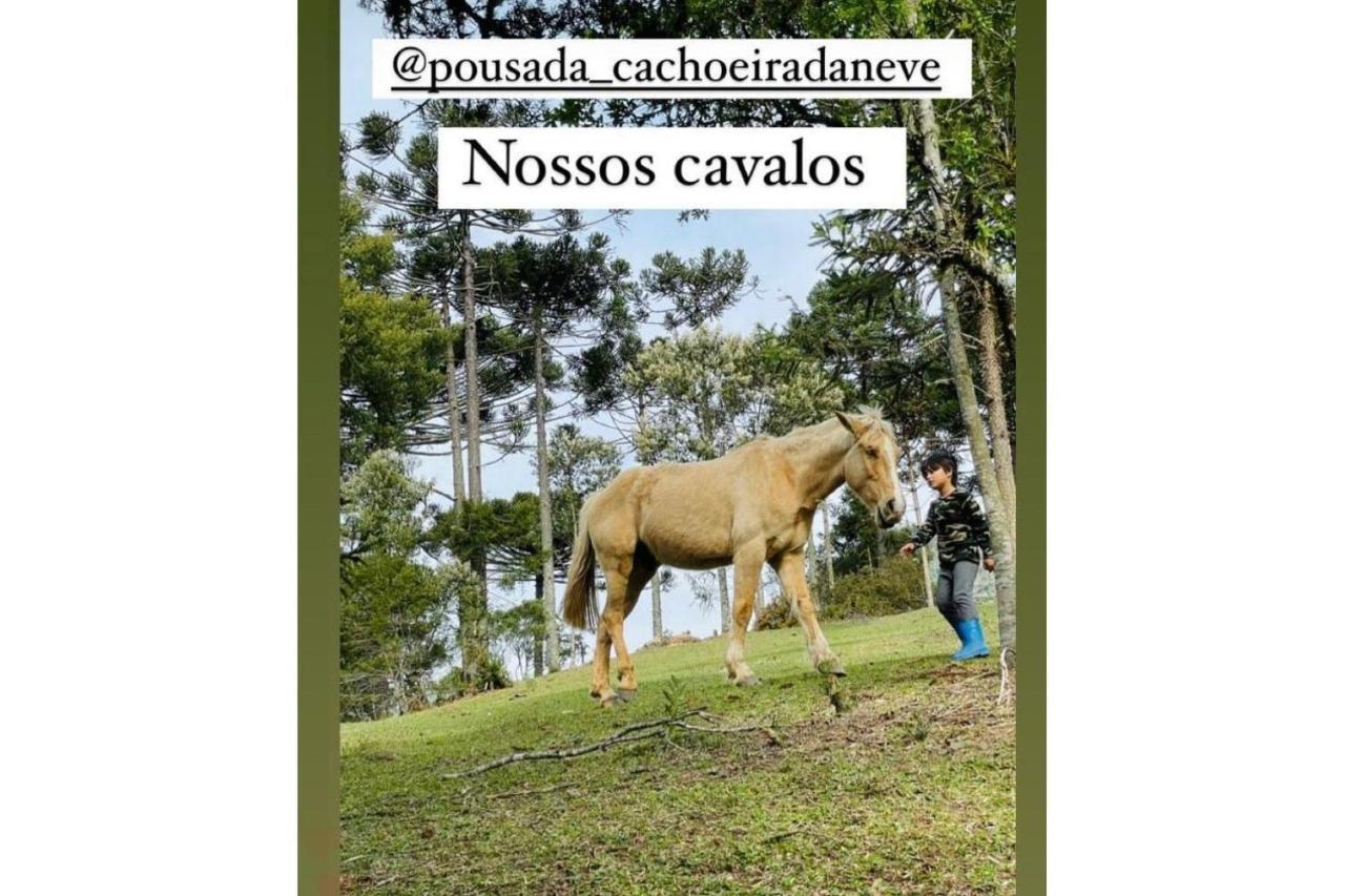 Floresta Secreta- Pousada Cachoeira Da Neve Urubici Zewnętrze zdjęcie