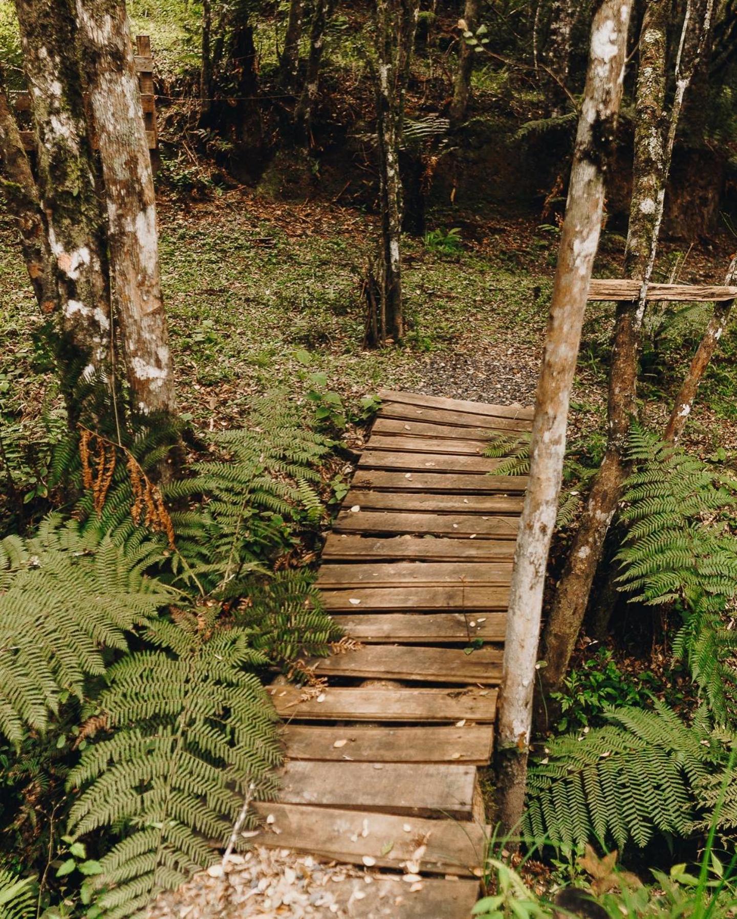 Floresta Secreta- Pousada Cachoeira Da Neve Urubici Zewnętrze zdjęcie